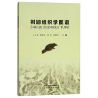 树鼩组织学图谱