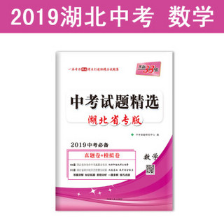 天利38套 湖北省专版 中考试题精选 2019中考必备--数学