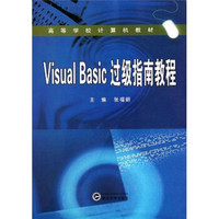 Visual Basic过级指南教程