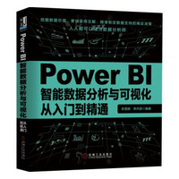 Power BI智能数据分析与可视化从入门到精通