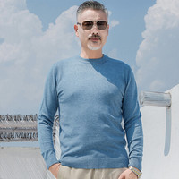 红豆旗下相思鸟 针织衫男圆领半高领纯色简约套头打底衫毛衣 A2天蓝 175/92A(110)