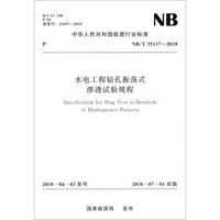 水电工程钻孔振荡式渗透试验规程（NB/T 35117—2018）