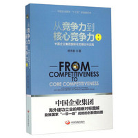 从竞争力到核心竞争力 中国企业集团国际化的理论与实践（第2版）