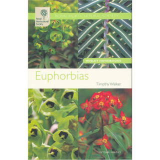 Euphorbias