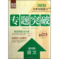 通城学典·2013中考专题复习30练·专题突破：语文（通用版）