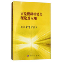 直觉模糊粗糙集理论及应用
