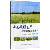 小麦规模生产与病虫草害防治技术