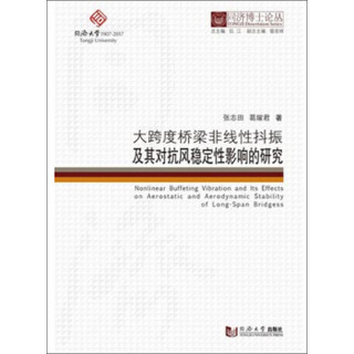 同济博士论丛——大跨度桥梁非线性抖振及其对抗风稳定性影响的研究