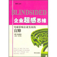 企业超感思维:突破影响企业发展的盲障