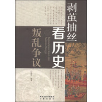 剥茧抽丝看历史：叛乱争议
