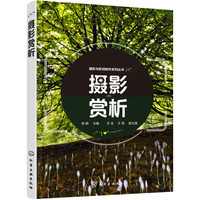 摄影赏析(陈勤)