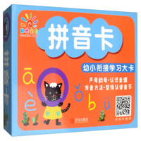 拼音卡/幼小衔接学习大卡