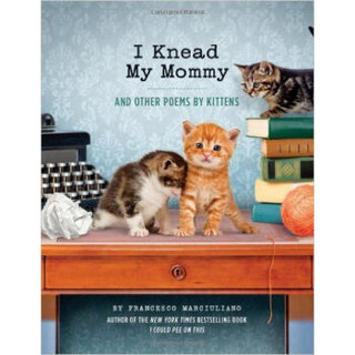 I Knead My Mommy  And Other Poems by Kittens