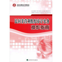 民间非营利组织审计实务操作指南