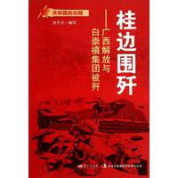 共和国的历程·桂边围歼：广西解放与白崇禧集团被歼