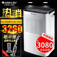 格力（GREE）除湿机 家用 工业 抽湿机 卧室 地下室 大功率除湿器40升/天 DH40EI