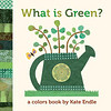 What Is Green?: A Colors Book by Kate Endle