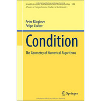 Condition: The Geometry of Numerical Algorithms