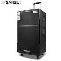 山水 sansui SG3-15 广场舞音响 户外便携式蓝牙拉杆音箱双麦克风15英寸