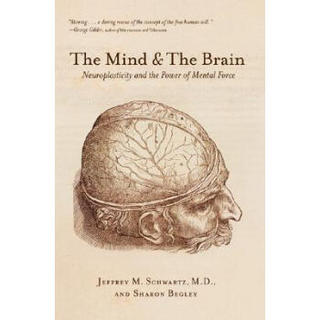 The Mind and the Brain[重塑大脑]