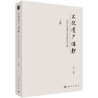 文化遗产保护：吕舟文化遗产保护团队论文集（套装全2册）