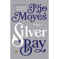 Silver Bay  A Novel