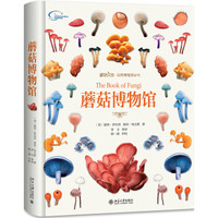 《蘑菇博物馆》 