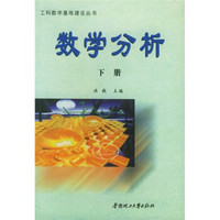 工科数学基地建设丛书：数学分析（下册）