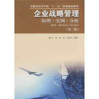 安徽省高等学校十一五省级规划教材：企业战略管理原理实例分析（第2版）