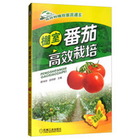 棚室番茄高效栽培