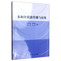 多相介质波传播与应用