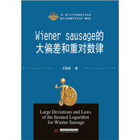 Wiener sausage的大偏差和重对数律