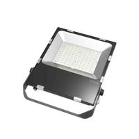 光大 GD-EBF207(LQ) -100 LED泛光灯