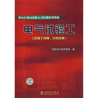 电力行业高技能人才培训系列教材：电气试验工（适用于技师高级技师）