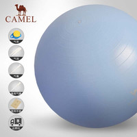 骆驼 CAMEL Y9W3D7606 骆驼加厚防爆瑜伽球 初学者运动健身瑜珈球弹力女士平衡球 雾蓝75cm