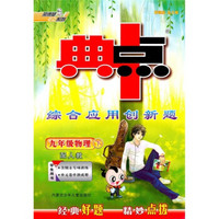 典中点综合应用创新题：9年级物理（下）（配人教）