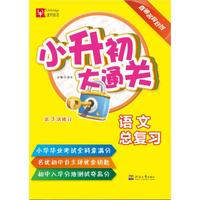小升初大通关 语文总复习（第3次修订）