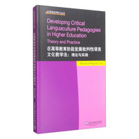 应用语言学研习丛书：在高等教育阶段发展批判性语言文化教学法 理论与实践