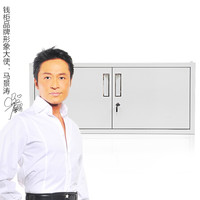 钱柜文件柜铁皮柜矮柜储物柜办公柜档案柜资料柜 390雅白凭证柜