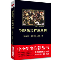 钢铁是怎样炼成的/中小学生必读丛书-教育部推荐新课标同步课外阅读