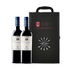 安第斯之箭（Flechas De Los Andes）/阿根廷小拉菲 阿格贝马尔贝克 原瓶进口干红葡萄酒750ml*2 双支礼盒装