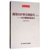 利用ERP审计的技巧--ERP数据准备技巧(上)/审计技巧丛书