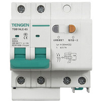 天正电气（TENGEN）小型漏电断路器 TGB1NLE-63 2P C40 30mA /个 可定制