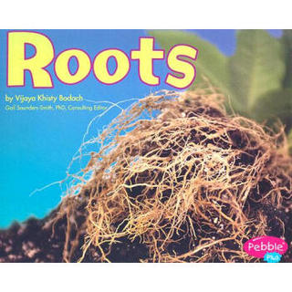 Roots (Pebble Plus: Plant Parts)  植物组成部分：根  