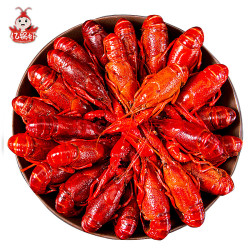 亿锅虾 十三香麻辣小龙虾 35-50只 净虾1000g *2件