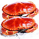 鲜旅奇缘 面包蟹 超大母螃蟹 600-800g*2只 *2件