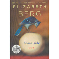 Home Safe  A Novel