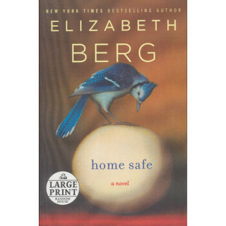 Home Safe  A Novel