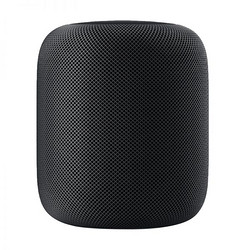 Apple HomePod 音响 MQHW2CH/A12