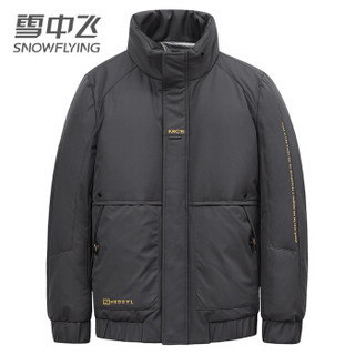 雪中飞 羽绒服男2019新款立领短款保暖外套X90141643FJD8056 灰色|8159 175/92A(L)